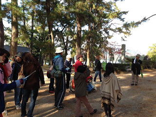 We held the "Fuyu no Matsunamiki Sanpo" walk on Amanohashidate.