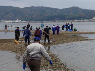 The "Amanohashidate Canal Oyster Shell Cleanup Project!" was held.